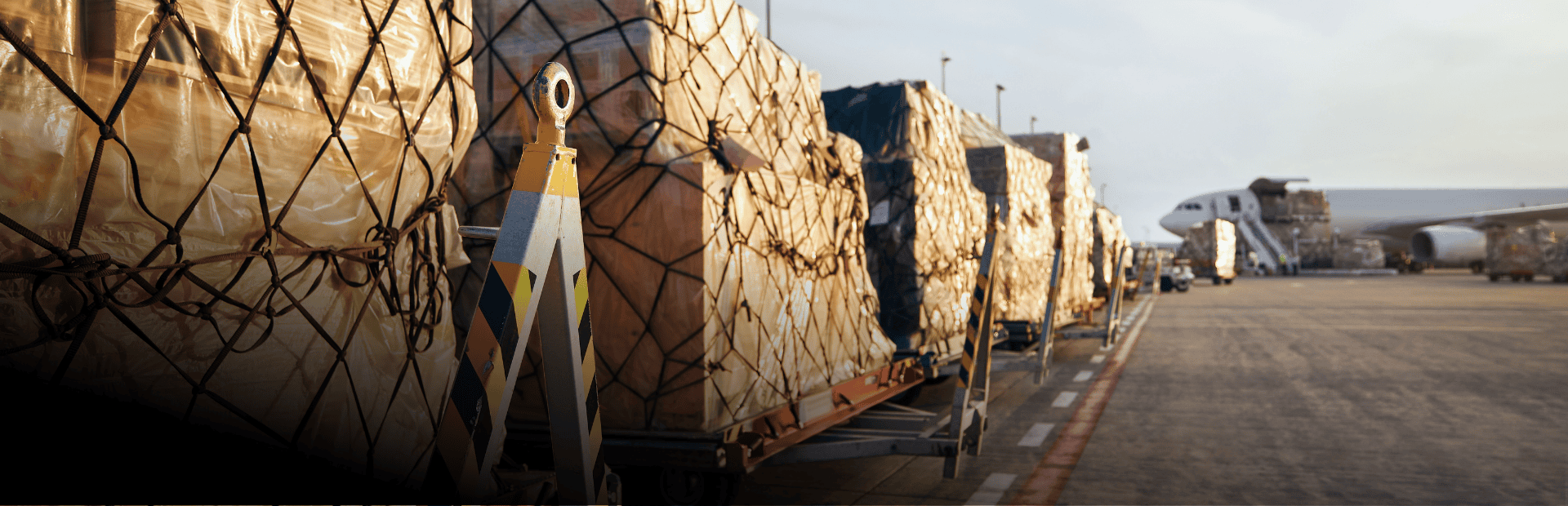 Kiểm Tra Chuyên Ngành và Phục Vụ QLNN